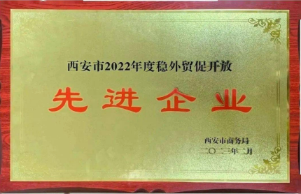 西安市2022年度稳外贸促开放先进企业